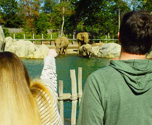 Family At The Roger Williams Park Zoo In Providence, RI