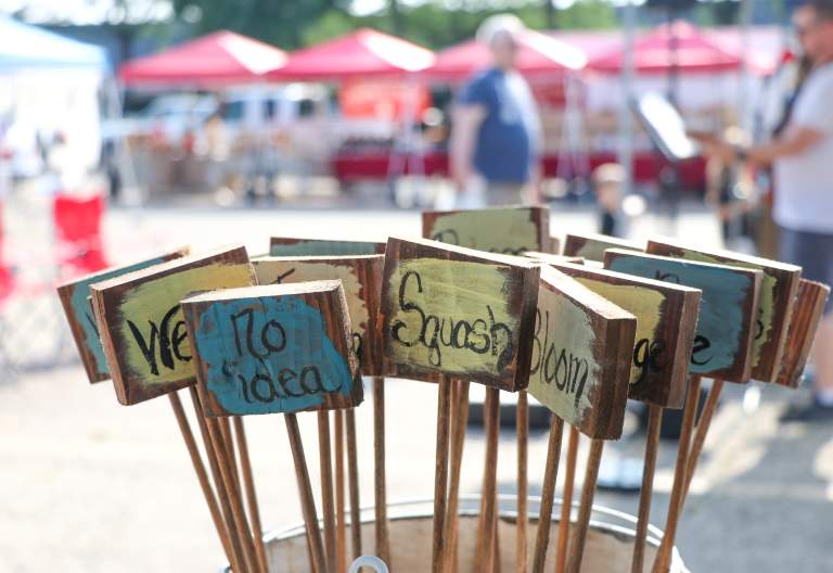 Farmer's Market