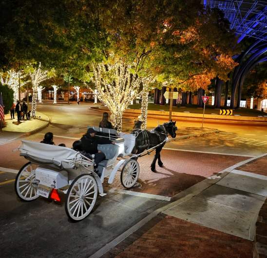 Addison Circle Carriage Rides