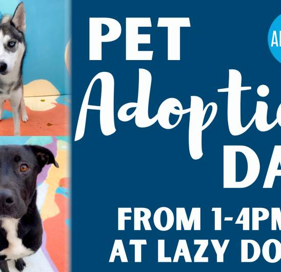 Animal Adoptions