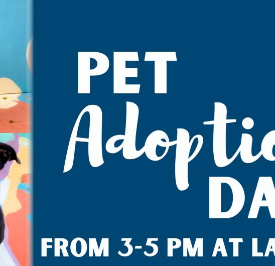 Animal Adoptions
