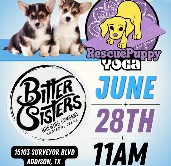Rescue Puppy Yoga
