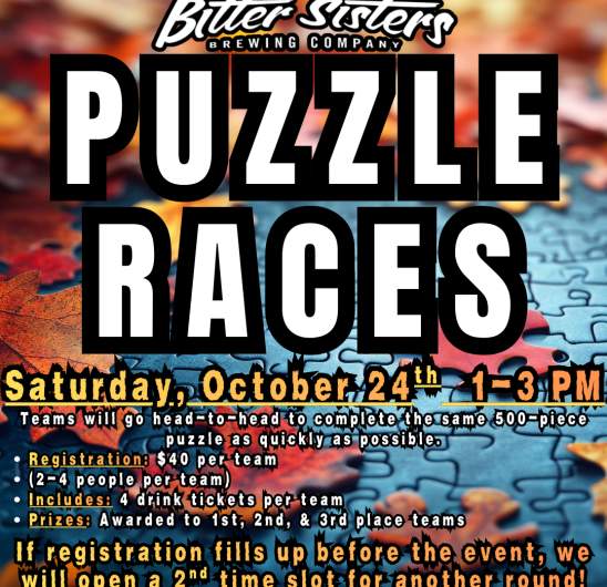 Puzzle Races