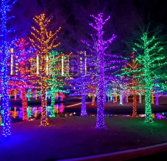 Bite Night at Vitruvian Lights