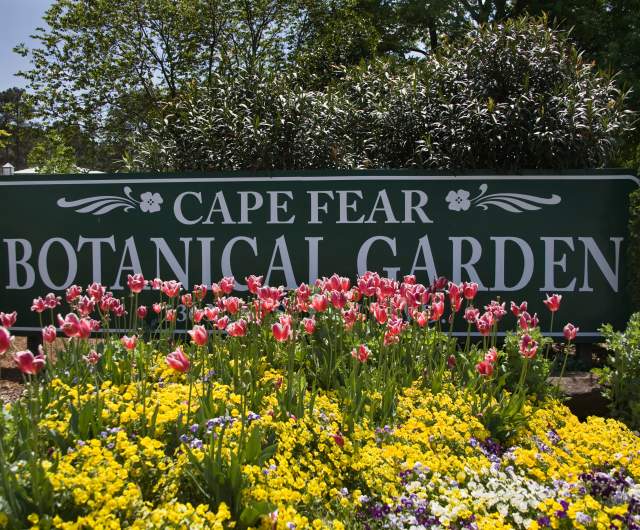 Cape Fear Botanical Garden Sign