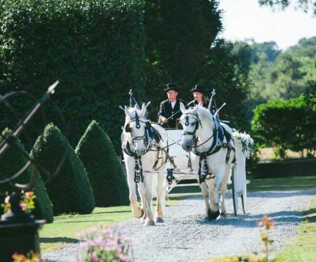 Step Into Your Story: Themed Wedding Ideas in Greater Fayetteville