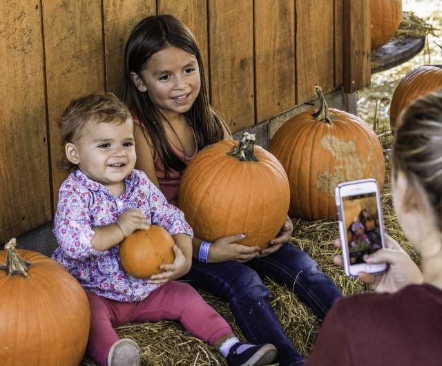 Halloween Photo-Ops: The Best Pumpkins, Props & Poses throughout Greater Fayetteville