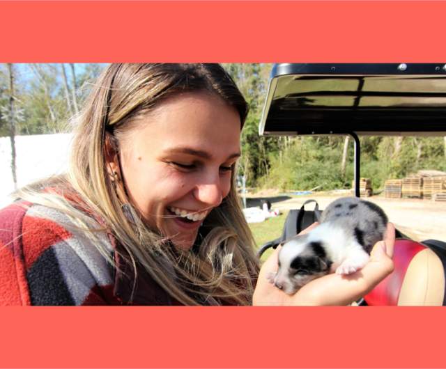 Tails, Trails & Terrariums: A Pet-Friendly Road Trip to Fayetteville, NC