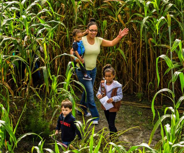 Five Reasons to Visit Fayetteville this Fall