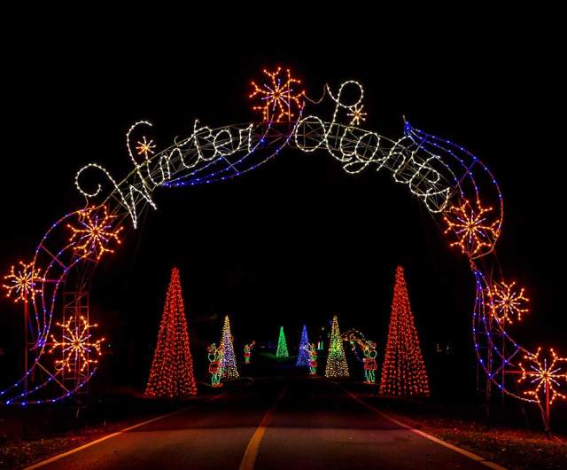 Drive-Thru Christmas in the Park