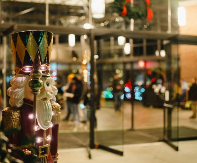 Holiday Lights in the Garden 2025