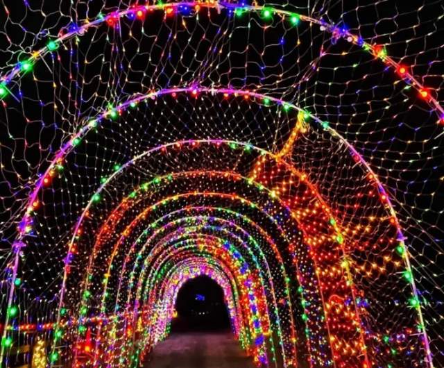 Festival of Lights and Tiny's Wonderland