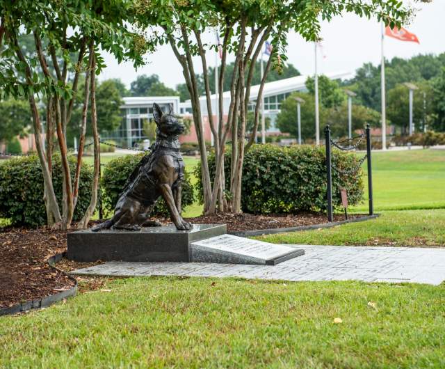 U.S. Army Airborne & Special Operations Museum