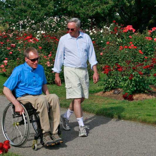 A man with a wheelchair and a companion, both in warm weather clothing, on the flat path in the Owen Rose Garden. Roses and manicured lawns.