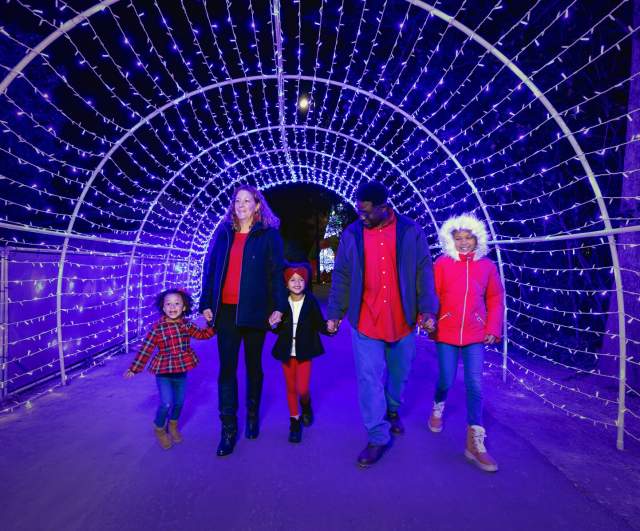 Holiday Events in North Myrtle Beach