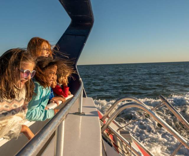 A family leaning on the rail of a boat, looking at dolphins