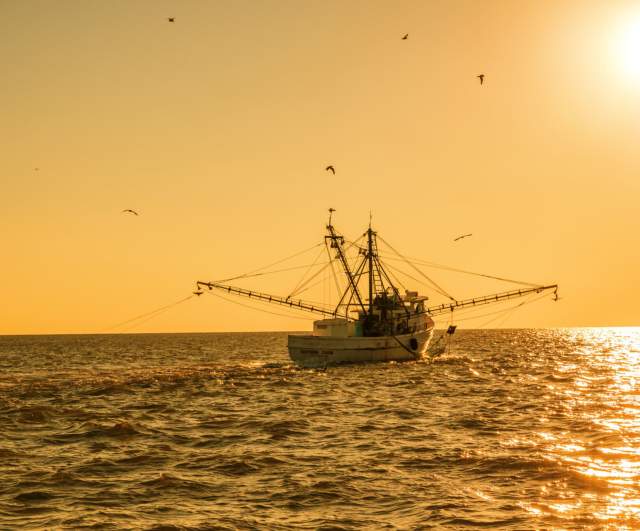 Best Seafood Restaurants in North Myrtle Beach