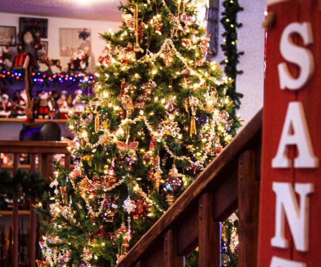 A Christmas Tree at The Christmas Mouse Shop