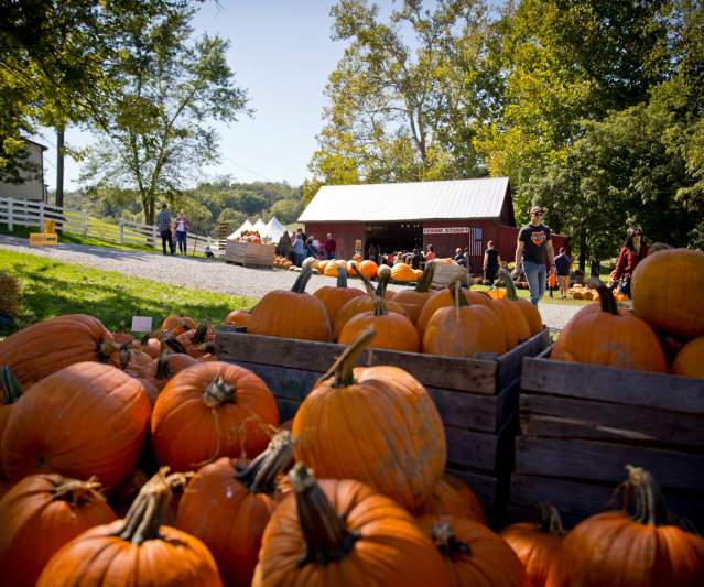 cincinnati-events-2024-calendar-of-events-visit-cincy