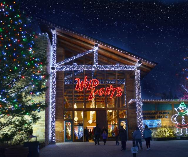 Akron Zoo-Wild Lights