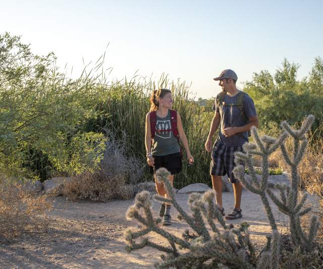 a couple hiking through the desert in Chandler, az