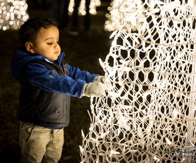 Todder looking at Christmas Tree lights