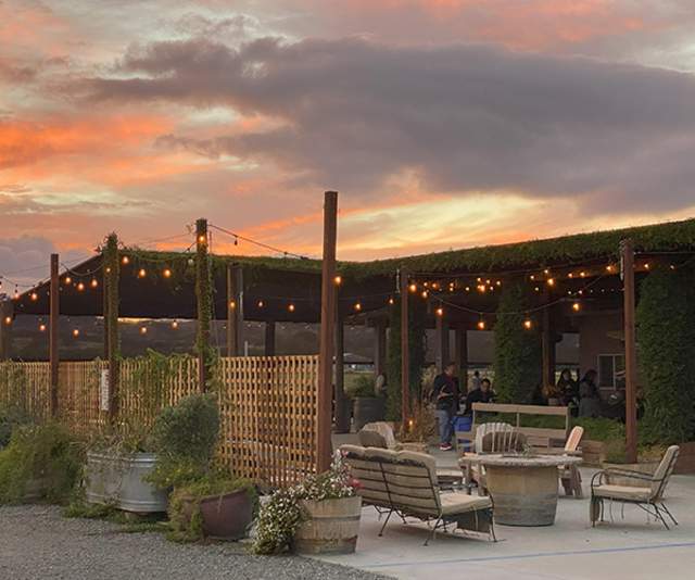 Berryessa Gap Vineyards