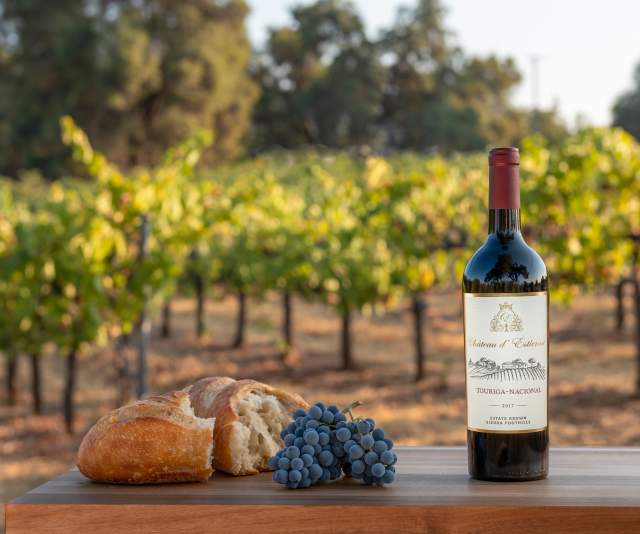 A bottle of red wine with grapes and bread on a table in front of a backdrop of grapevines