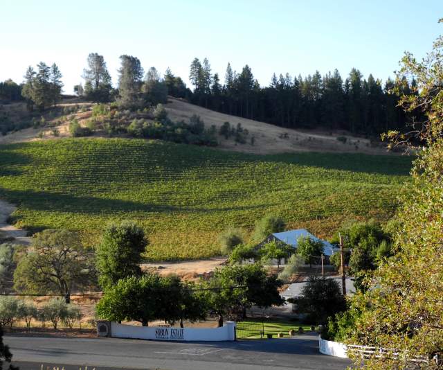 Rolling green hills of wine grape vines surround a white-roofed wine tasting room