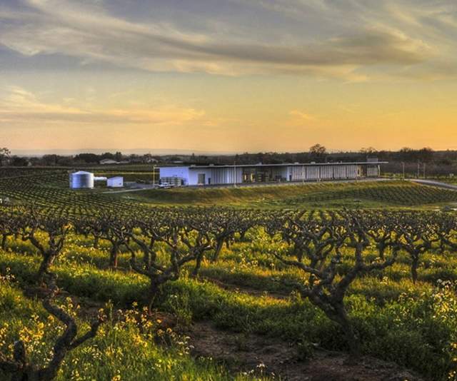 Andis Wines