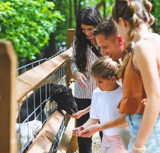 Edited Shepherd of the Hills Family Spring Attraction Outdoors