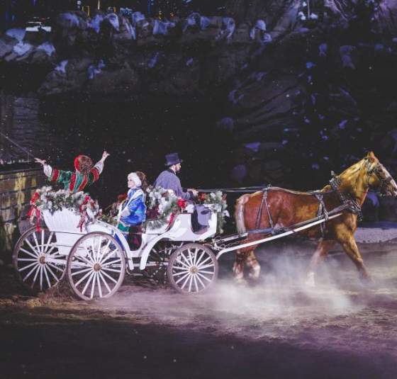 Dolly Parton Stampede