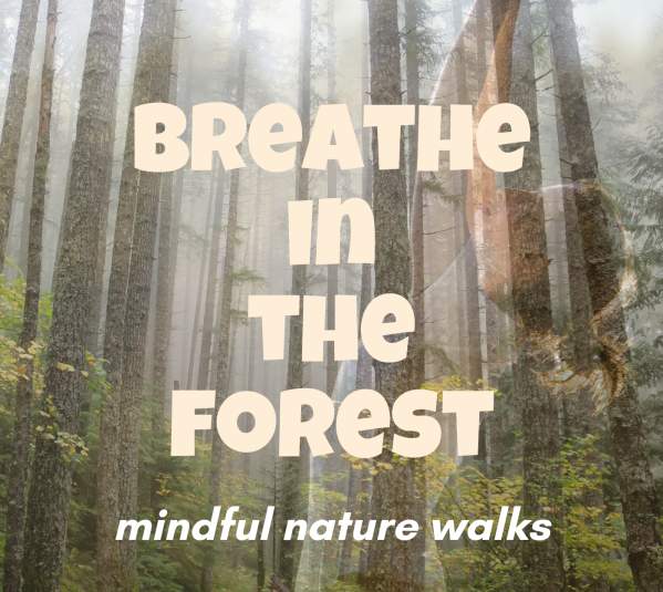 Breathe In The Forest: Mindful Nature Walks