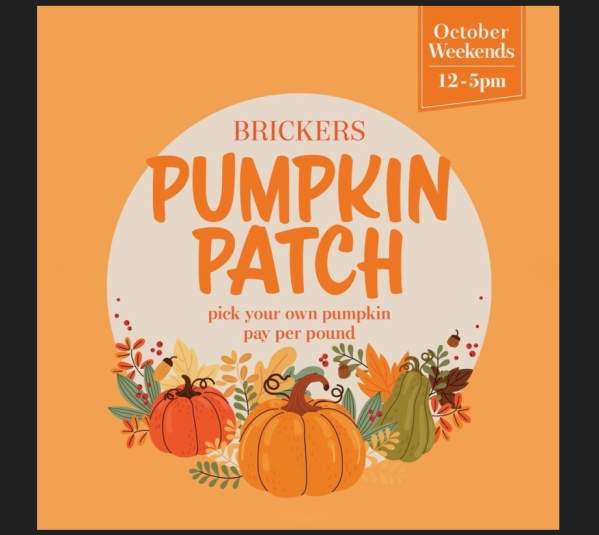 Brickers Pumpkin Patch