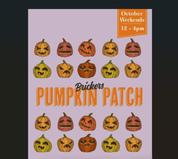 Brickers Pumpkin Patch