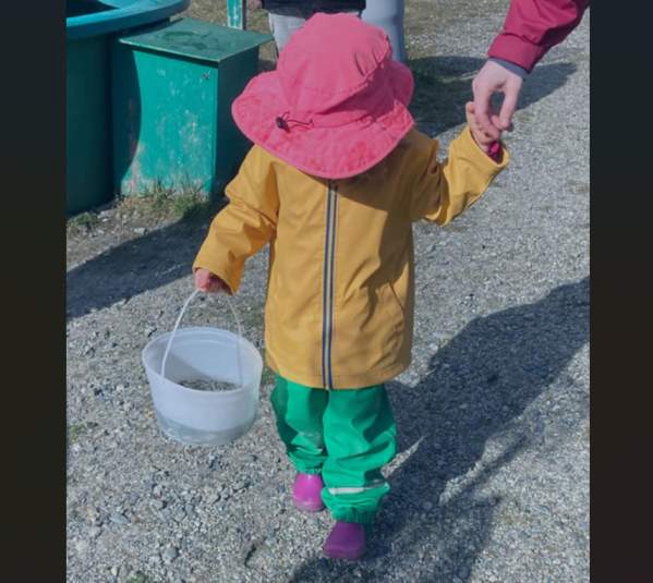 Chapman Creek Salmon Release Festival