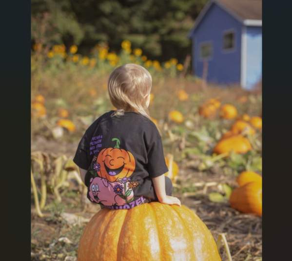 Shady Hazel Farm U-Pick Pumpkin Patch