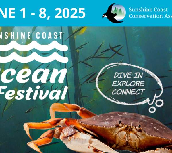 Sunshine Coast Ocean Festival