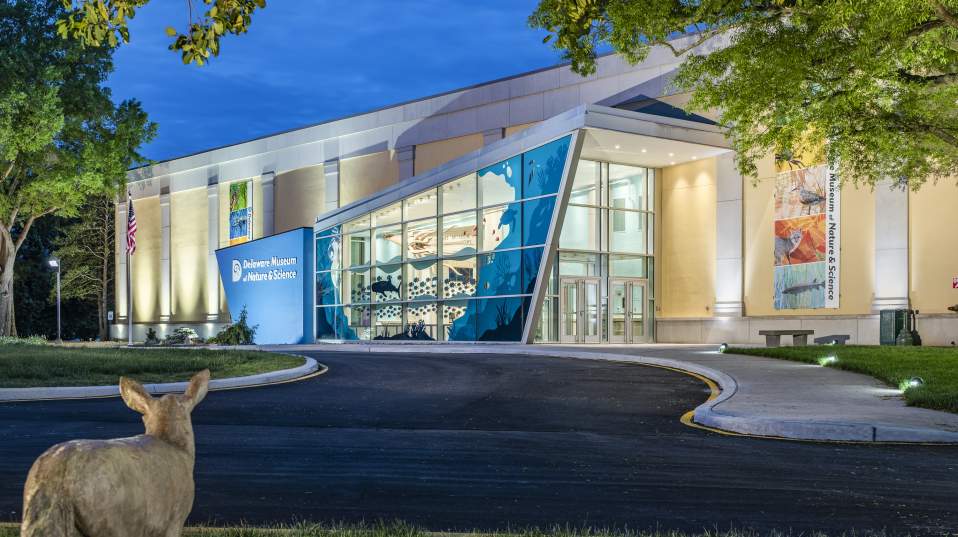 Delaware Museum of Nature and Science