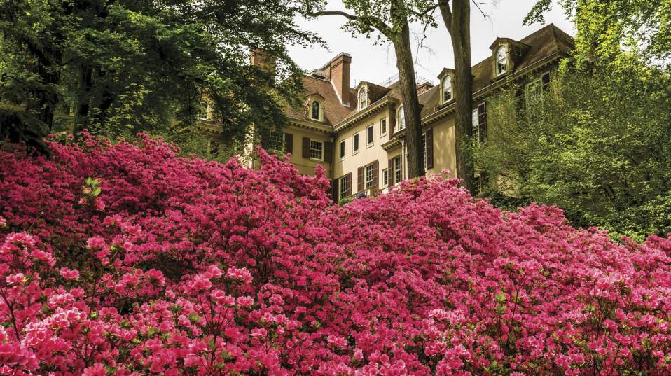 Winterthur Museum, Garden & Library
