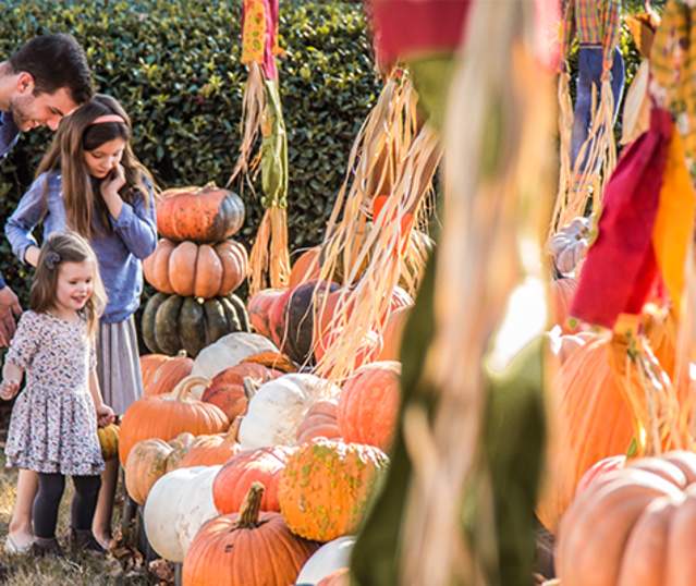 Fall in Love with these Sandy Springs Events