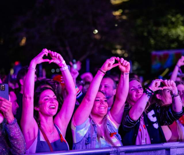 Pride Festival Crowd