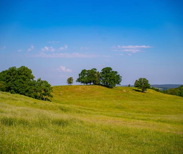 Bølgende grønne enger langs Borgleden.