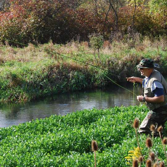 Fly-Fishing in LeTort Spring Run