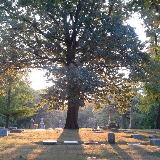 Woodland Cemetery 1