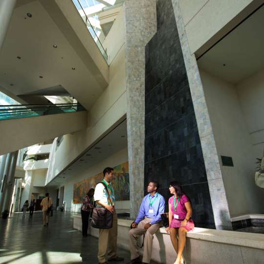 HCC Lobby Waterfall