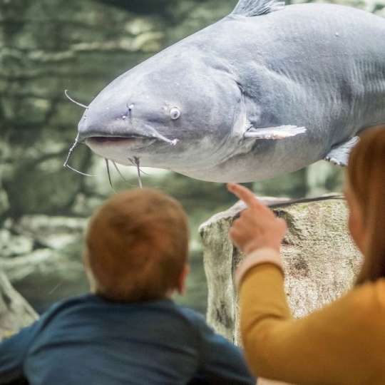 Cabela's Kansas City Virtual Tour