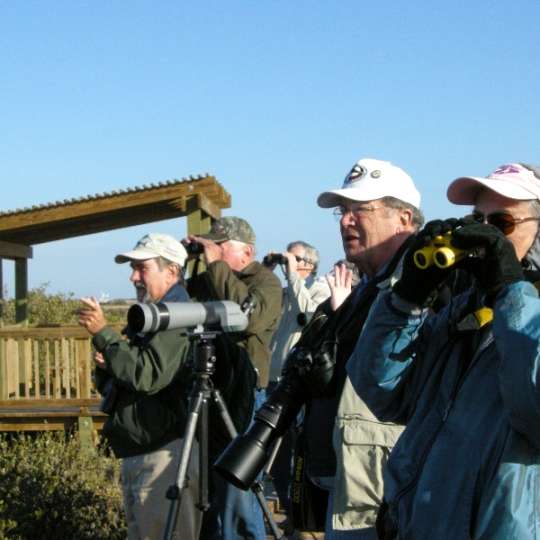 Paradise Pond Tour