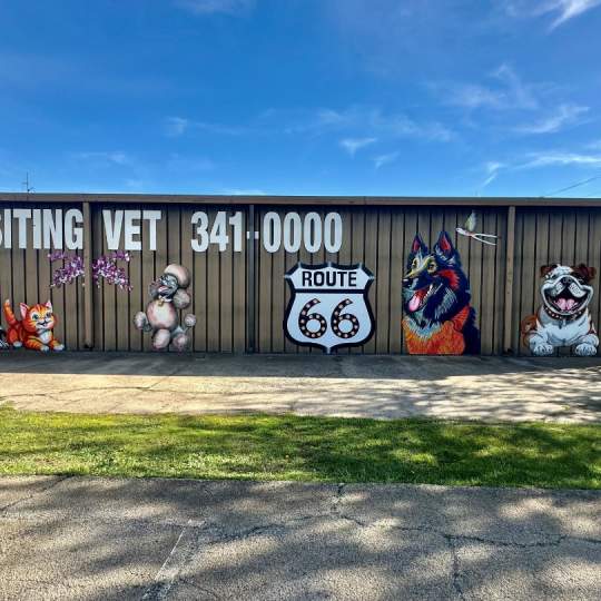 In the Dog Days of Summer, It’s Good to be a Cat - Mural by Chris Cargill