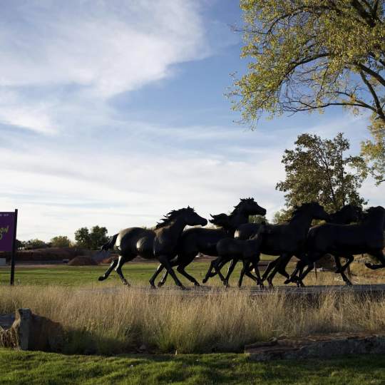 The Uncommon Ground Sculpture Park